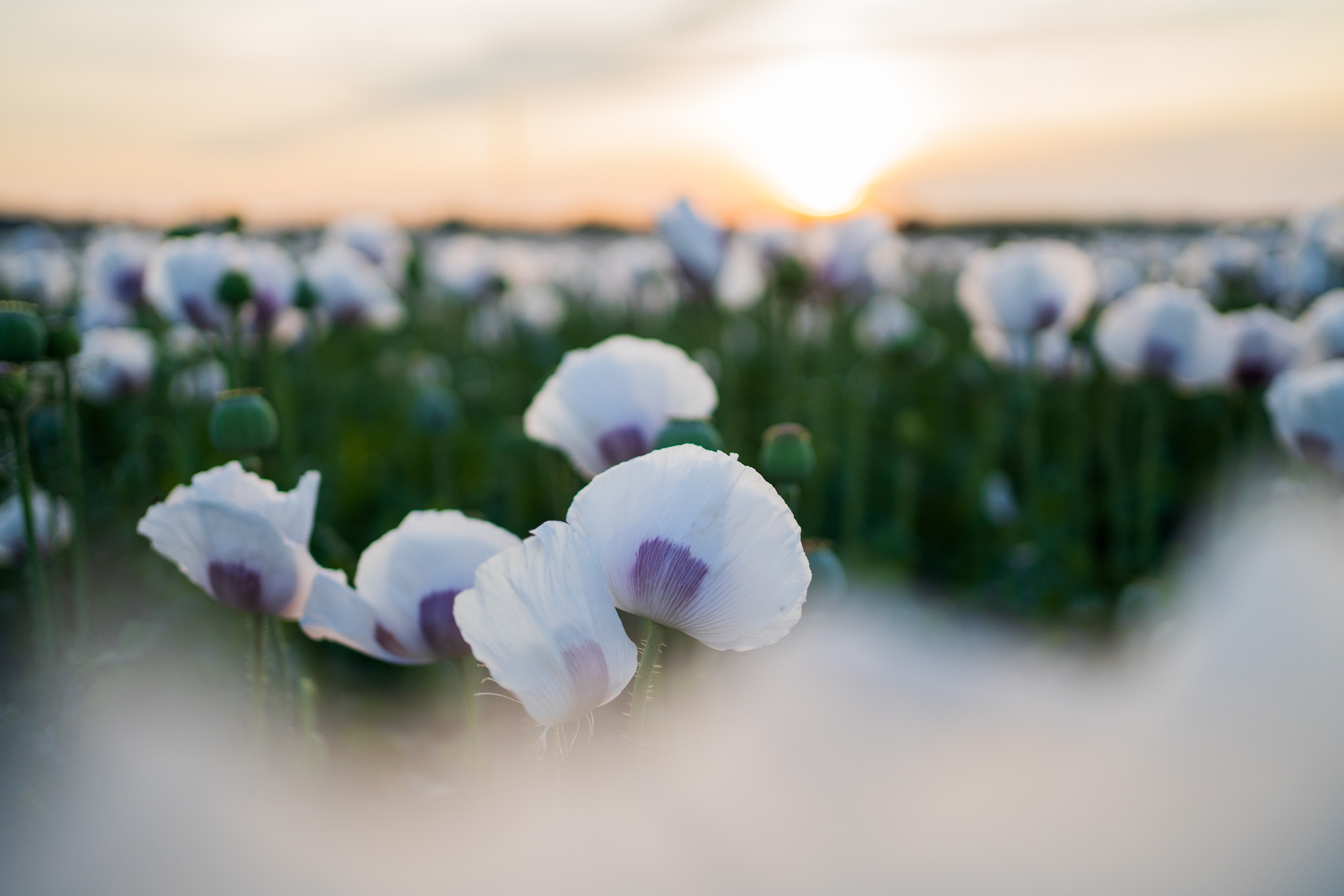 Moments By Lada Pictures